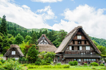 Fototapeta na wymiar Ancient houses covered with dried rice straw, gassho style houses, in the UNESCO World Heritage-listed village of Shirakawago in Gifu, Japan