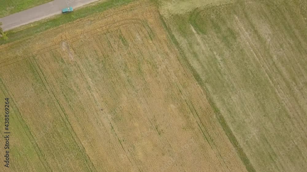 Poster Field in summer taken from drone. - Posters