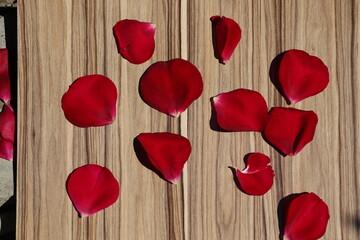 red rose petals on wooden background