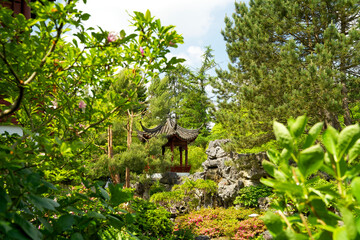 Chinese gardens in the hortus botanicus of Groningen early summer