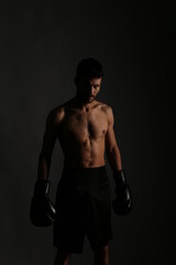 Fototapeta na wymiar Boxer on gray background in shadows