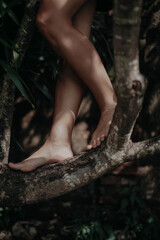 Female feet standing on the trunk of a tropical tree