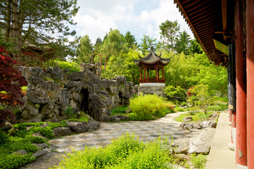 Chinese gardens in the hortus botanicus of Groningen early summer. Tradition botanic garden in Groningen. Oriental gardening in Haren.