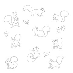 Set of vector black and white squirrels for coloring. Textile, wallpaper, child's play