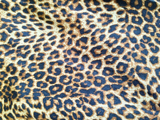 leopard fur texture