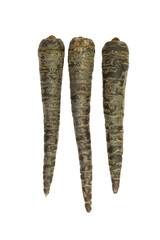Three black carrots isolated on a white background close up