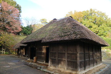 Japanese traditional house