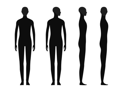Human body silhouette of a gender neutral person with a highlighted skull and chin area.