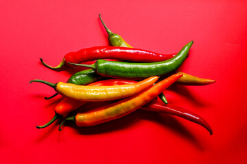 Multicolored chili pepper on red background, creative minimalism concept with copy space.