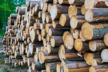 stack of firewood