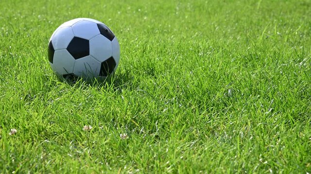 Football ball rolling on green grass field