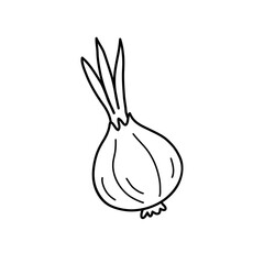 Onions in black in doodle style. Vector illustration in a simple childish style. Perfect for decorating a grocery store or as a farm label