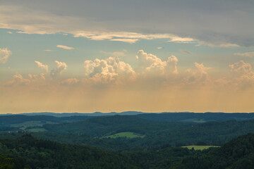 waldlandschaft mit bewölktem himmel