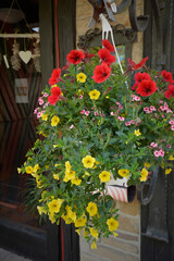blumenampel