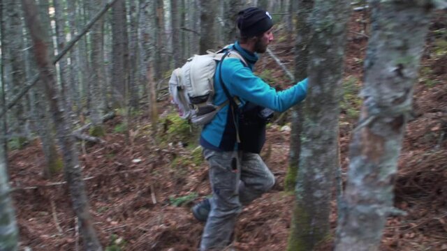 Trekkers with sticks are climbing the mountain through the deep november wood. Backpackers explore the forest