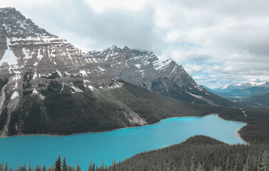 Lake Peyto at Banff national park
