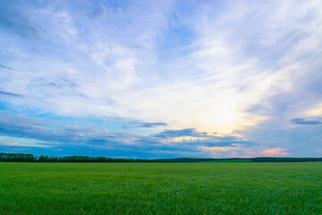 Fototapeta na wymiar Green meadows and sky before sunset like in Scotland