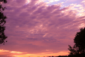 The sun rising with Cloudy Sky Above the forest in the morning