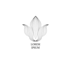 Floral logo design templates in outline style. Abstract flower icons for monograms and emblems