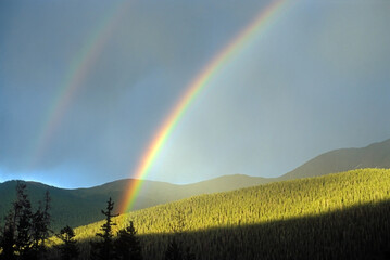 Berthoud Pass Colorado double rainbow over a beautiful spruce forest with mountains in the backdrop 