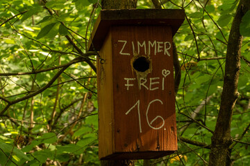 Bird feeder