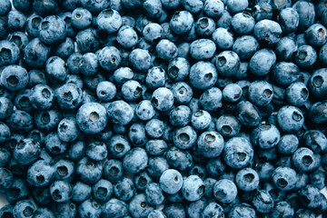 Blueberry Background. Texture blueberry berries close up. Various fresh summer berries. Blue food.