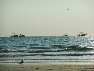Barcos pesqueros en el océano
