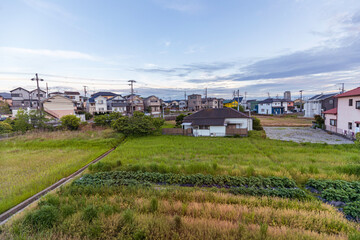 Fallow farming field next to old house in residential neighborhood