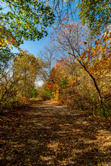 Postcard of the river side - Beautiful fall in Central Canada