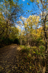 Darkness on a bright fall evening - Beautiful fall in Central Canada