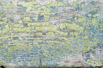 Old wooden background with cracked green paint close up. 