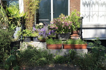 Fototapeta na wymiar Amsterdam Kalkmarkt House Entrance Steps with Purple and Pink Flowers