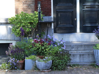 Fototapeta na wymiar Amsterdam Kalkmarkt House Entrance Steps with Various Flowers and Plants in Pots