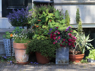 Fototapeta na wymiar Amsterdam Kalkmarkt Pavement View with Various Flowers and Plants in Pots