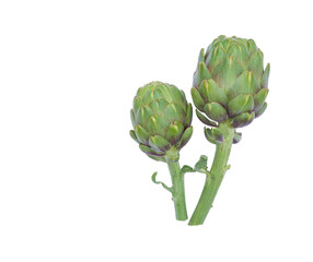 Green fresh artichokes on white background. Isolated. Organic vegetable food.