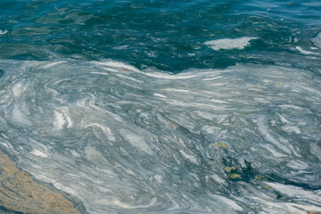 mucilage on the sea surface, istanbul, environmental disaster,
