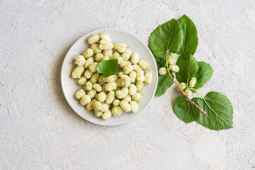 Fresh white mulberries in plate with branch on rustic background, summer fruit concept 