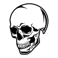 skull black and white monochrome 