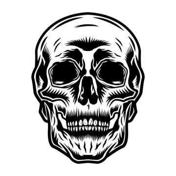 skull black and white monochrome 
