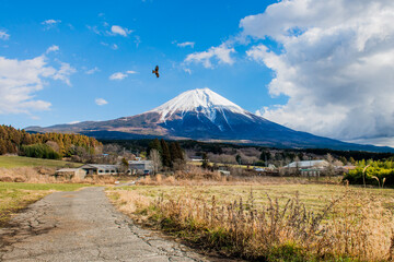 In winter, Mount Fuji appears all white and magnificent. It is 3,775 meters high and can be seen from almost all over Japan.