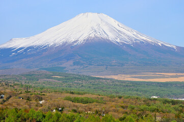 山中湖村パノラマ台より望む春の富士山