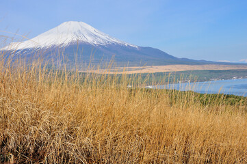 丹沢山地の鉄砲木ノ頭より春の富士山
鉄砲木ノ頭は丹沢山地の西端にあり,神奈川県と山梨県の境に位置する山稜。山頂には山中諏訪神社奥宮がある。