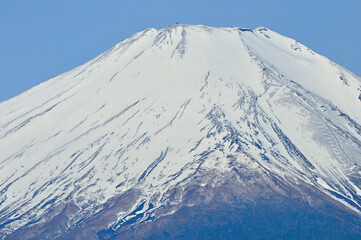 Fototapeta na wymiar 早春の霊峰富士山