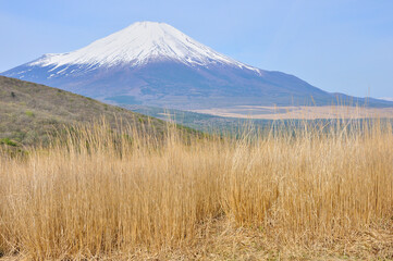 カヤト原の鉄砲木ノ頭より富士山を望む