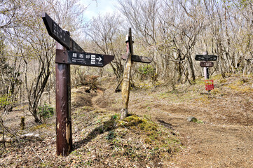 三国山稜の春　アザミ平分岐