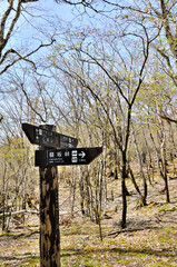 三国山稜の春　立山東分岐