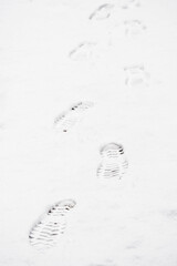 Human footprints in the snow.