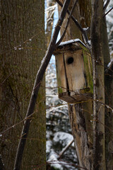 Old wooden booth on a tree in winter.