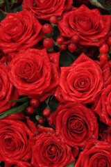 Red bridal roses with drops