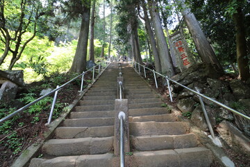 神奈川県の丹沢の大山の登山